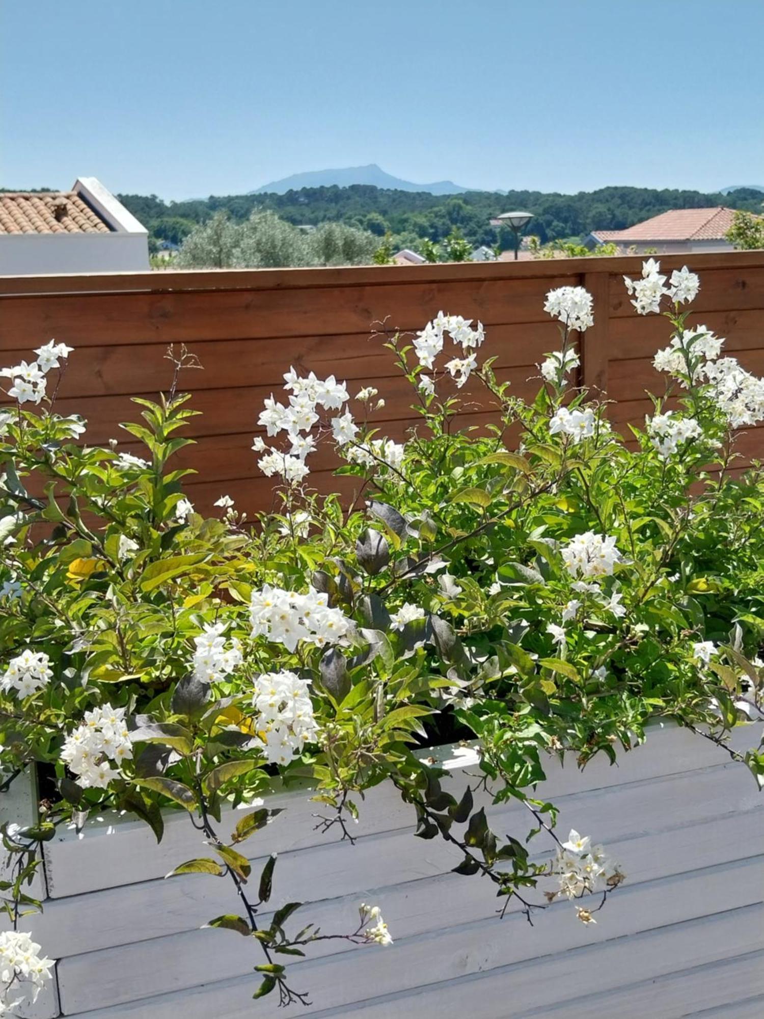Studio Cocon Enea Bidart, Terrasse Et Parking Esterno foto