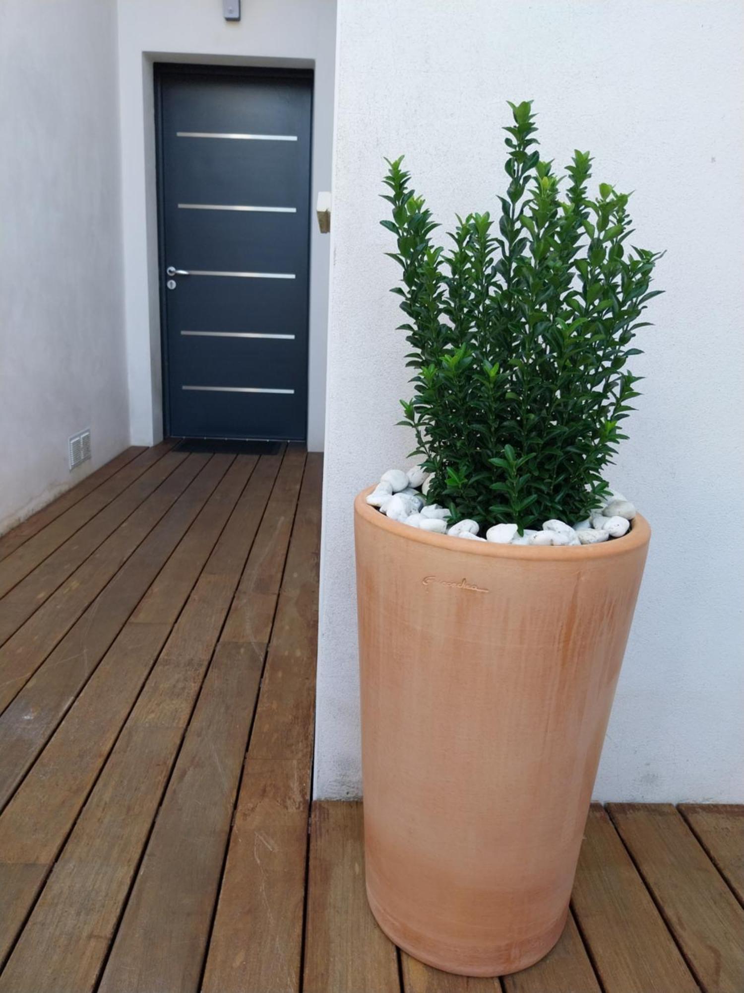 Studio Cocon Enea Bidart, Terrasse Et Parking Esterno foto